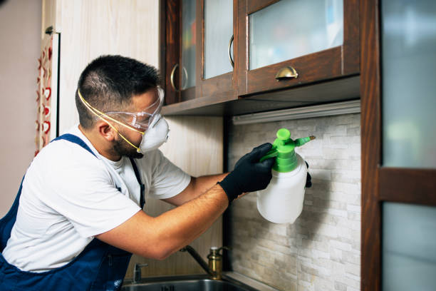 Best Exterminator Services  in Livingston, LA