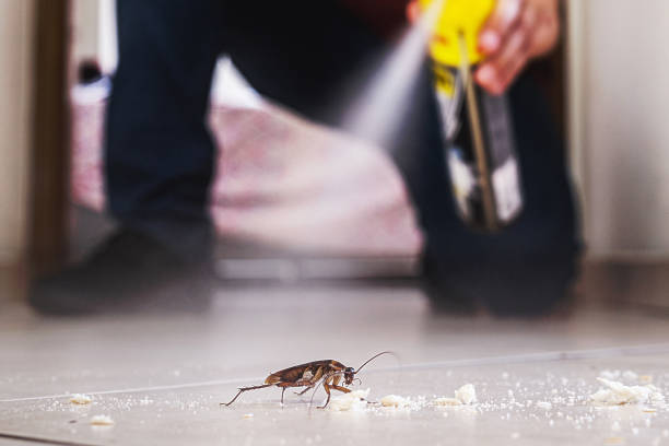 Pest Prevention Services in Livingston, LA