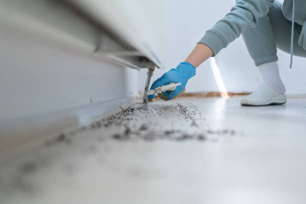 Best Emergency Pest Control  in Livingston, LA